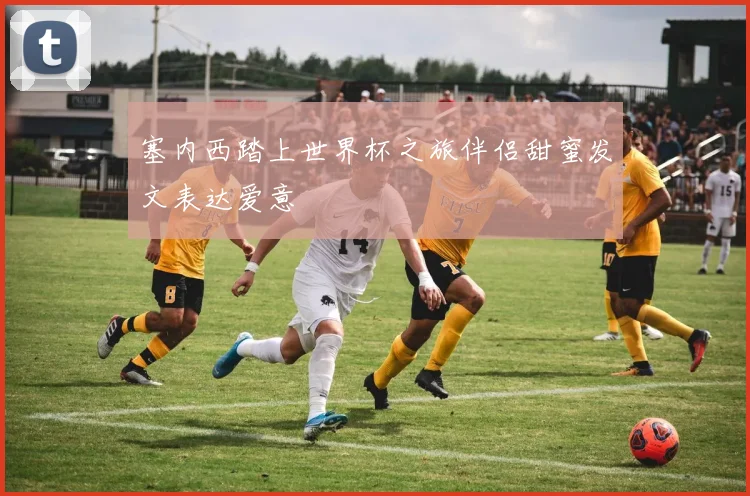塞内西踏上世界杯之旅伴侣甜蜜发文表达爱意